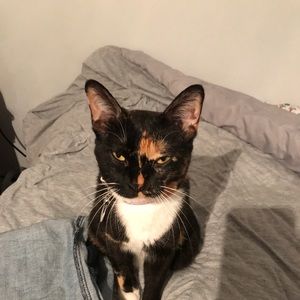 Meet your Posher, Zakia